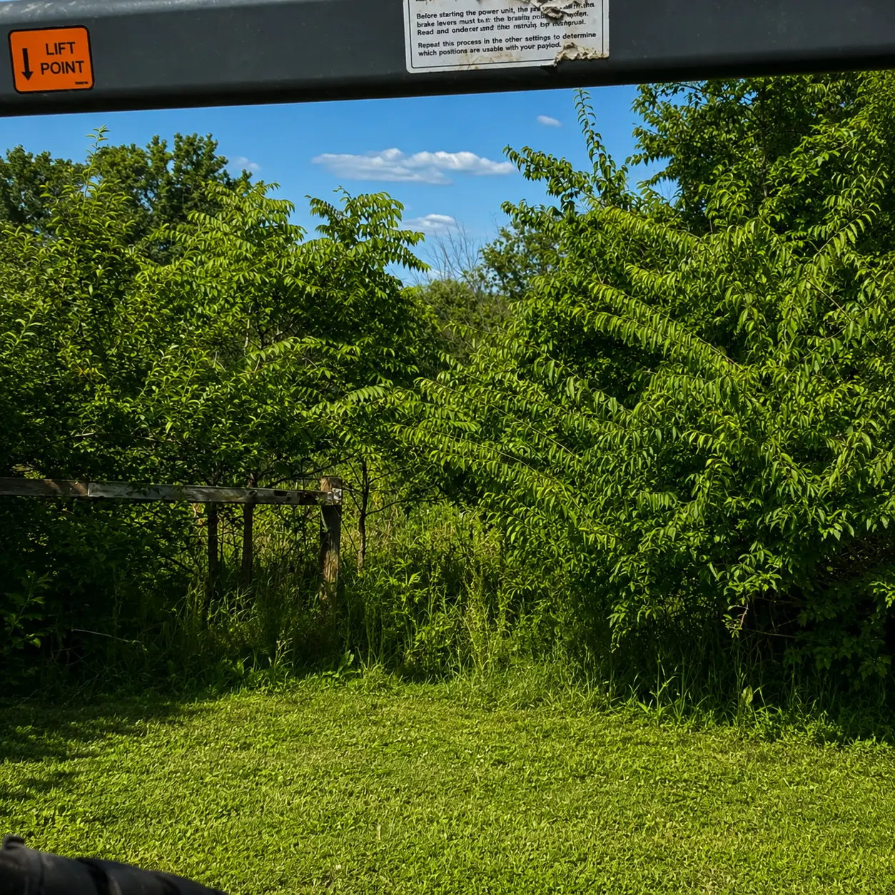 Before: Fence Line Brush Removal